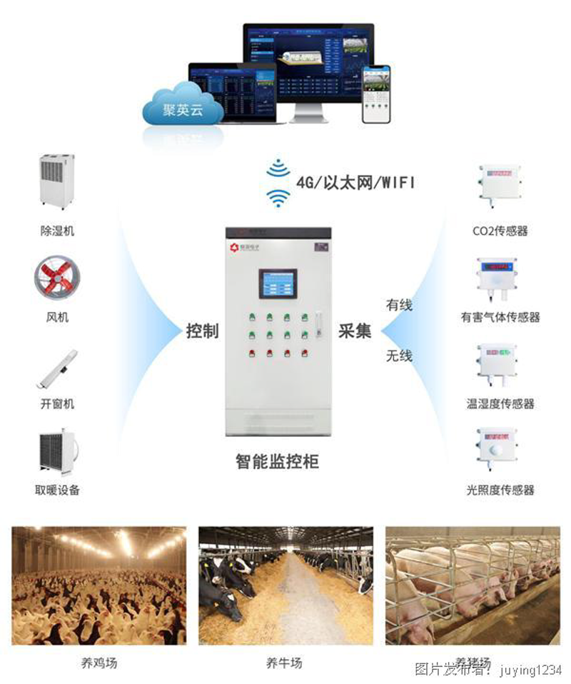 现代农业中的整套饲养设备之风潮
