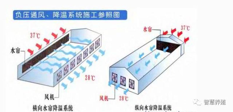 鸡舍降温设备