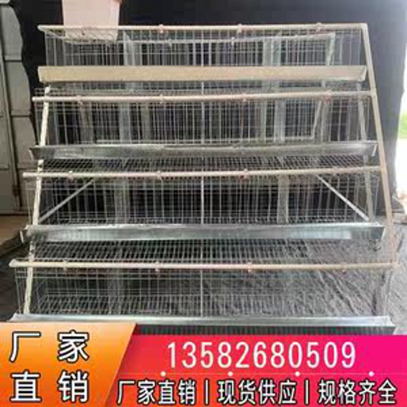 现代农业中的整套饲养设备之风潮
